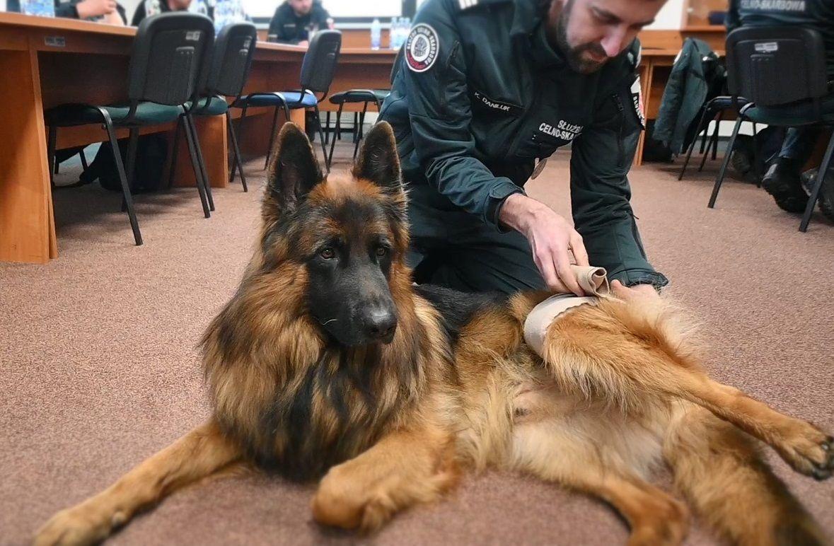 Zajęcia w formie wykładu i warsztatów prowadzone były z wykorzystaniem specjalnie wyszkolonego psa.<br/>fot.archiwum KAS