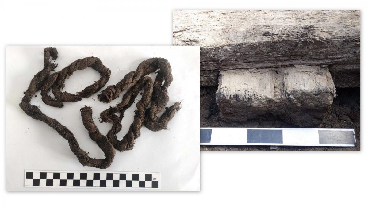 – Być może są to relikty dawnej szubienicy lub pręgierza, który stał na jarosławskim Rynku – mówi archeolog Monika Broszko. 

<br/>fot.Monika Broszko, archeolog