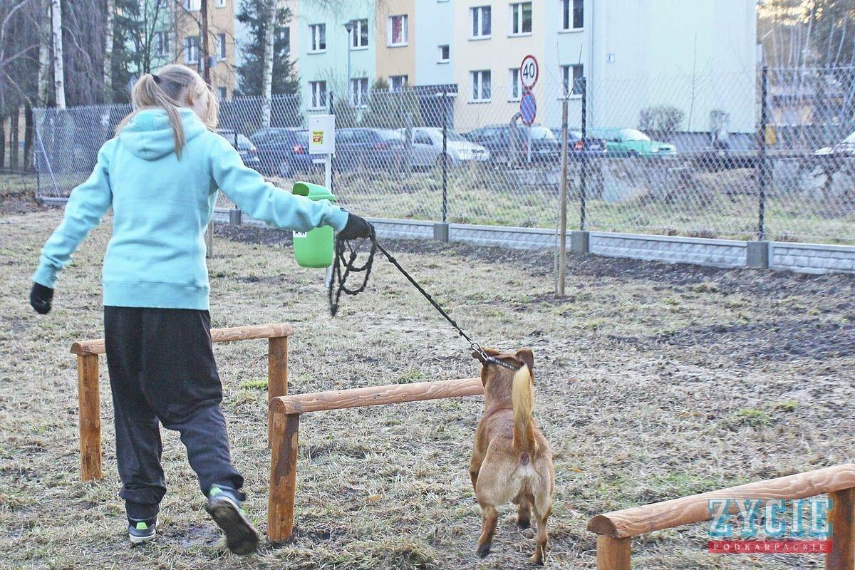 Swój wybieg dla psów od dawna ma Jarosław. Inwestycja nie została wprawdzie sfinansowana z budżetu obywatelskiego, ale była odpowiedzią na zapotrzebowanie mieszkańców. Czy przeworszczanie poprą powstanie takiej przestrzeni w swoim mieście?

<br/>fot.archiwum ŻP