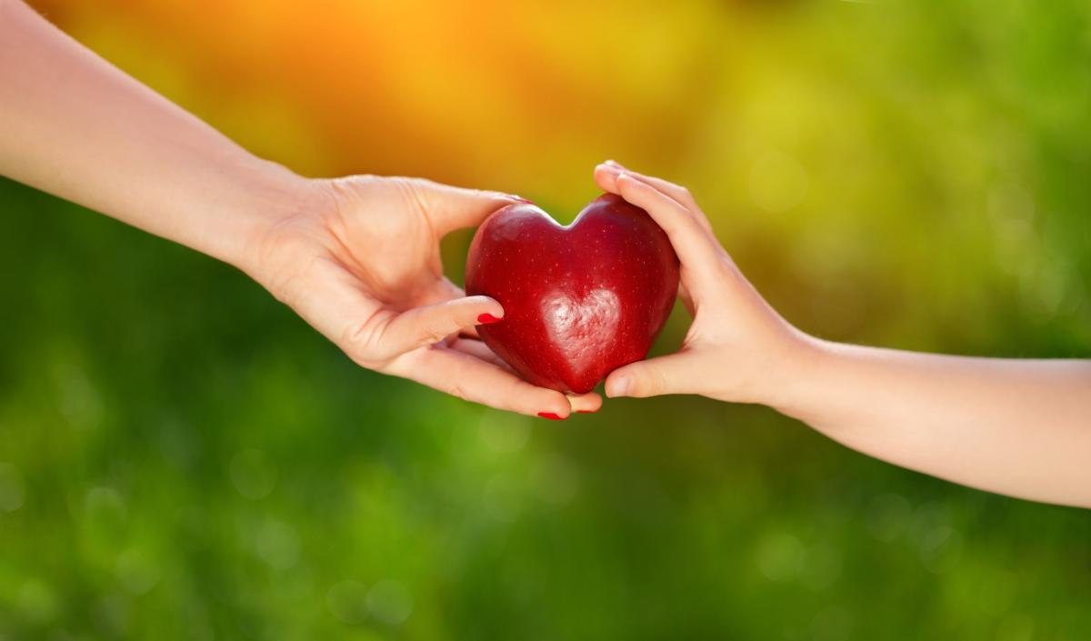 Światowy Dzień Dawcy Szpiku (ang. World Marrow Donor Day) przypada 17 września. W Polsce obchodzony będzie on jednak nieco później, bo 13 października. 