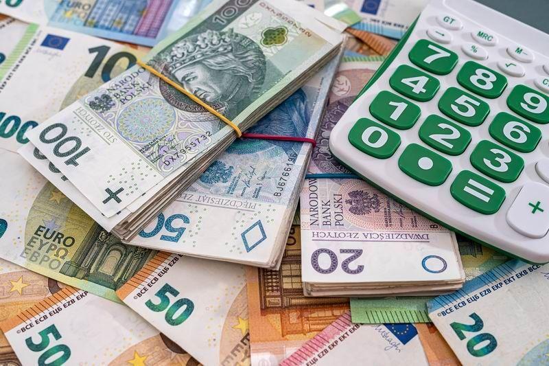 Średnio co 768 zeznanie PIT za 2021 r. zawierało dochód powyżej 1 mln zł, co stanowi 0,13 proc. wszystkich złożonych zeznań – wynika ze statystyk podkarpackich urzędów skarbowych.

