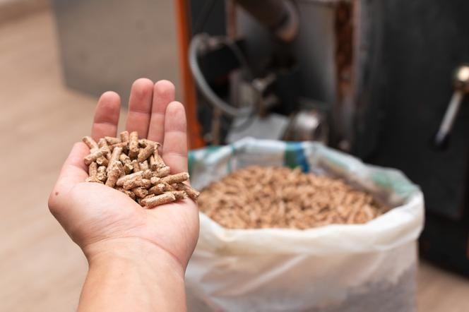 Pellet to paliwo ekologiczne, które produkuje się z odpadów drzewnych.<br/>fot.muratorplus.pl