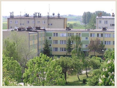 Osiedle Kombatantów należące do Spółdzielni Mieszkaniowej w Jarosławiu.
<br/>fot.Jarosławska Spółdzielnia Mieszkaniowa