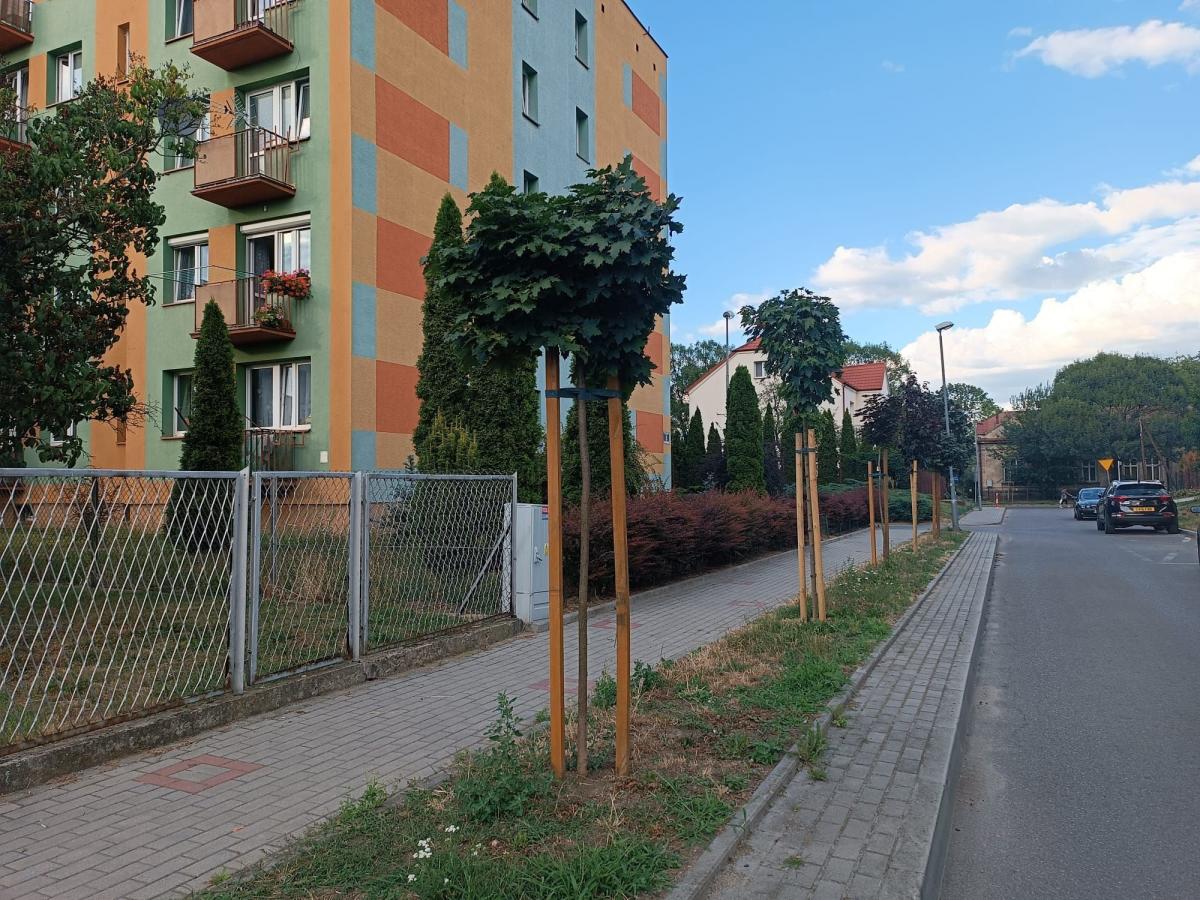 ulica Zielińskiego<br/>fot.archiwum autora