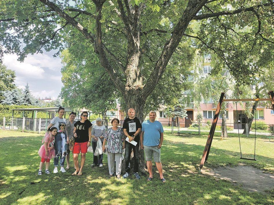 Podczas spotkania na placu zabaw przy Krasińskiego 21 pod rozłożystym klonem, Marcin Radochoński, Agnieszka Filar- Igielska, Dariusz Igielski, Maria Borysławska, Barbara Jakosz, Ewa Kurasz z 5- letnią Hanią, oraz Anna Radochońska opowiedzieli, jak niemal rokrocznie walczą o to, by ich jeszcze zielon