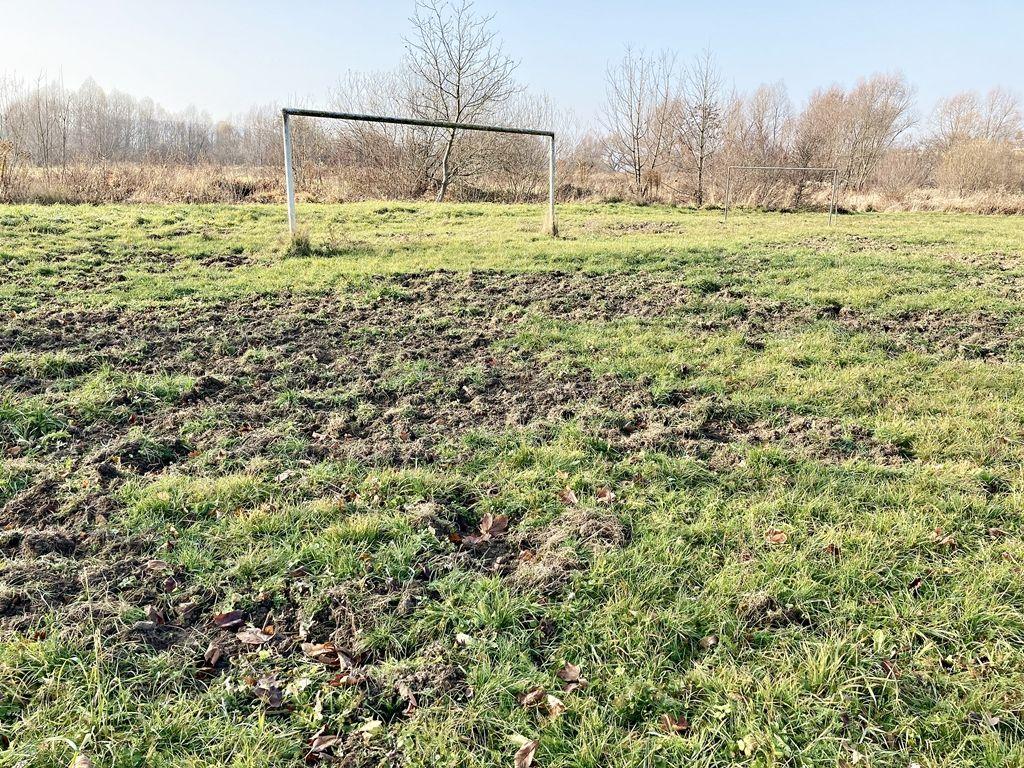 Od trzech lat dziki systematycznie ryją boczne boiska Polonii przy ul. Sanockiej.<br/>fot.ze zbiorów własnych