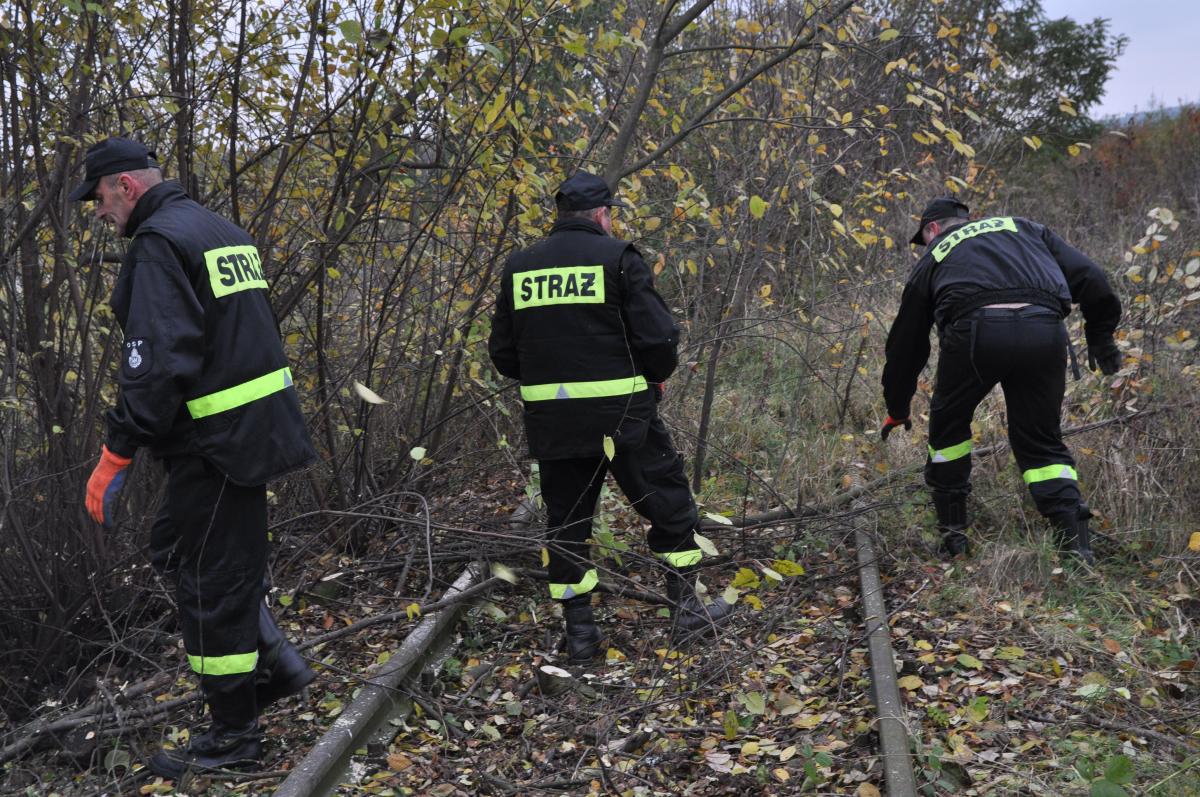 Wszystko zaczęło się 6 lat temu, od spontanicznej akcji wolontariuszy pod hasłem „Siekierezada”.<br/>fot.Jacek Szwic