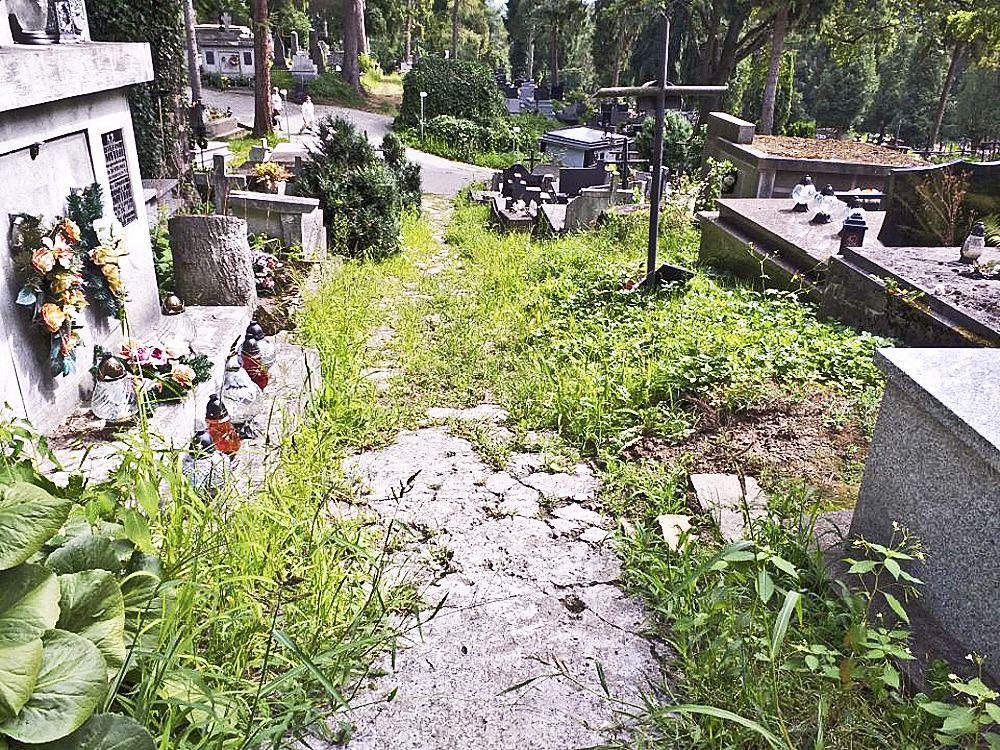 Na Cmentarzu Głównym przy ul. Słowackiego w Przemyślu są miejsca do pochówku powstałe w wyniku likwidacji grobów czy ekshumacji.<br/>fot.Mariusz Godos