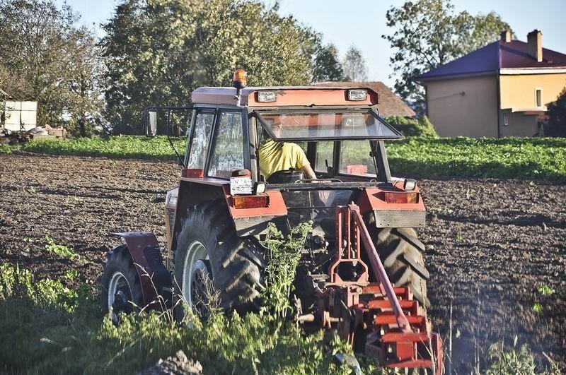Na restrukturyzację małego gospodarstwa można dostać 60 tys. zł wypłacone w dwóch ratach.<br/>fot.archiwum ŻP