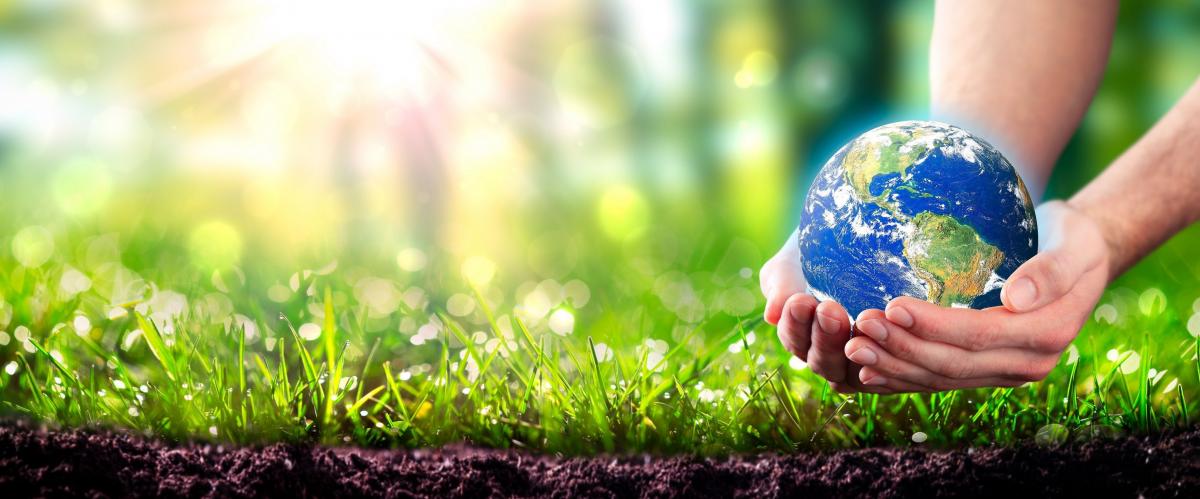 W tym roku, Światowy Dzień Ziemi był obchodzony pod hasłem: Inwestujmy w naszą planetę. 