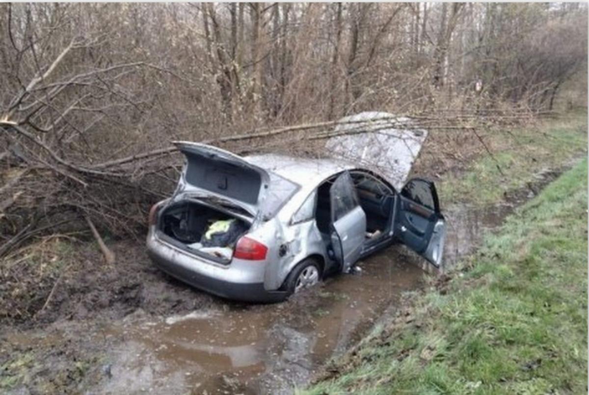 Kierowca audi wjechał do przydrożnego rowu.<br/>fot.KPP Przeworsk