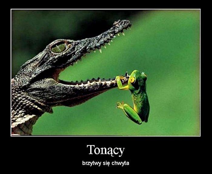 <br/>fot.www.demotywatory.pl