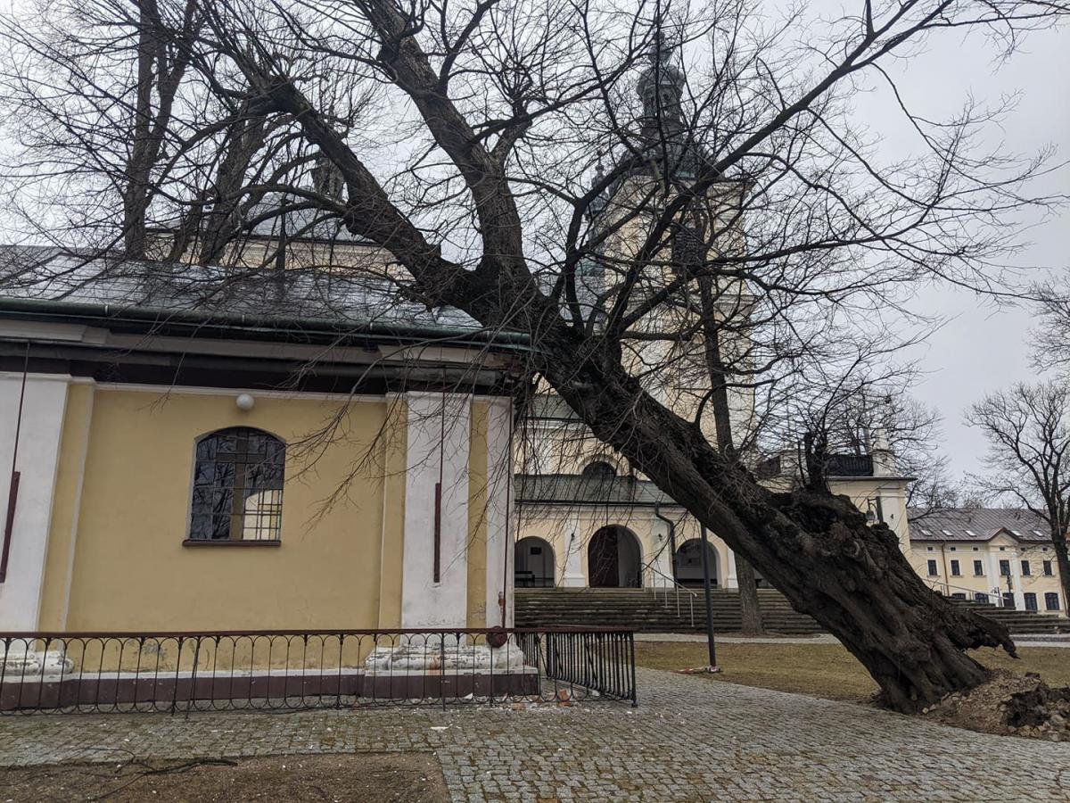 Podczas silnego wiatru, spadło drzewo na kapliczkę św. Anny w Kalwarii Pacławskiej, uszkadzając jej narożnik.<br/>fot.PUOZ Przemysl