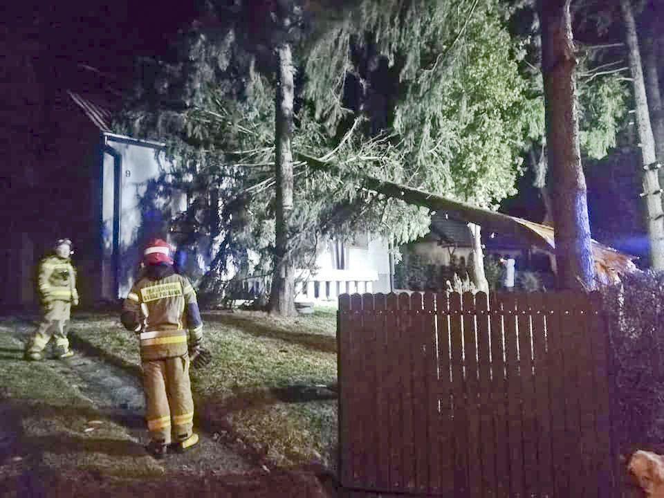 Silny wiatr przewrócił w Przeworsku drzewo na dach budynku – na szczęście nie było poszkodowanych.<br/>fot.st. str. Paweł Łysik