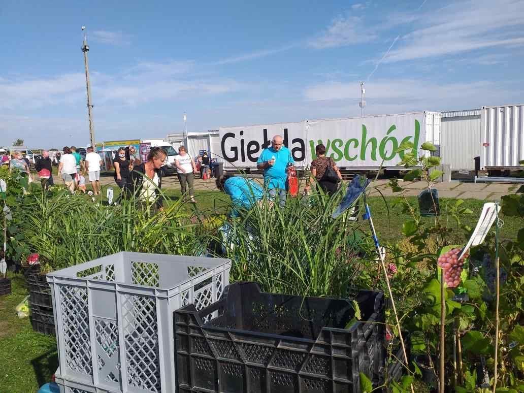 Giełda „Wschód” w Skołoszowie w gminie Radymno.<br/>fot.zbiory własne