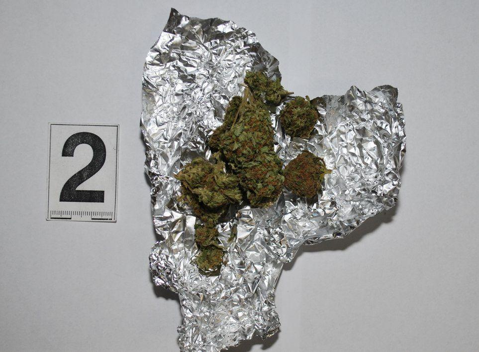 Zarekwirowana marihuana.<br/>fot.KMP Przemyśl