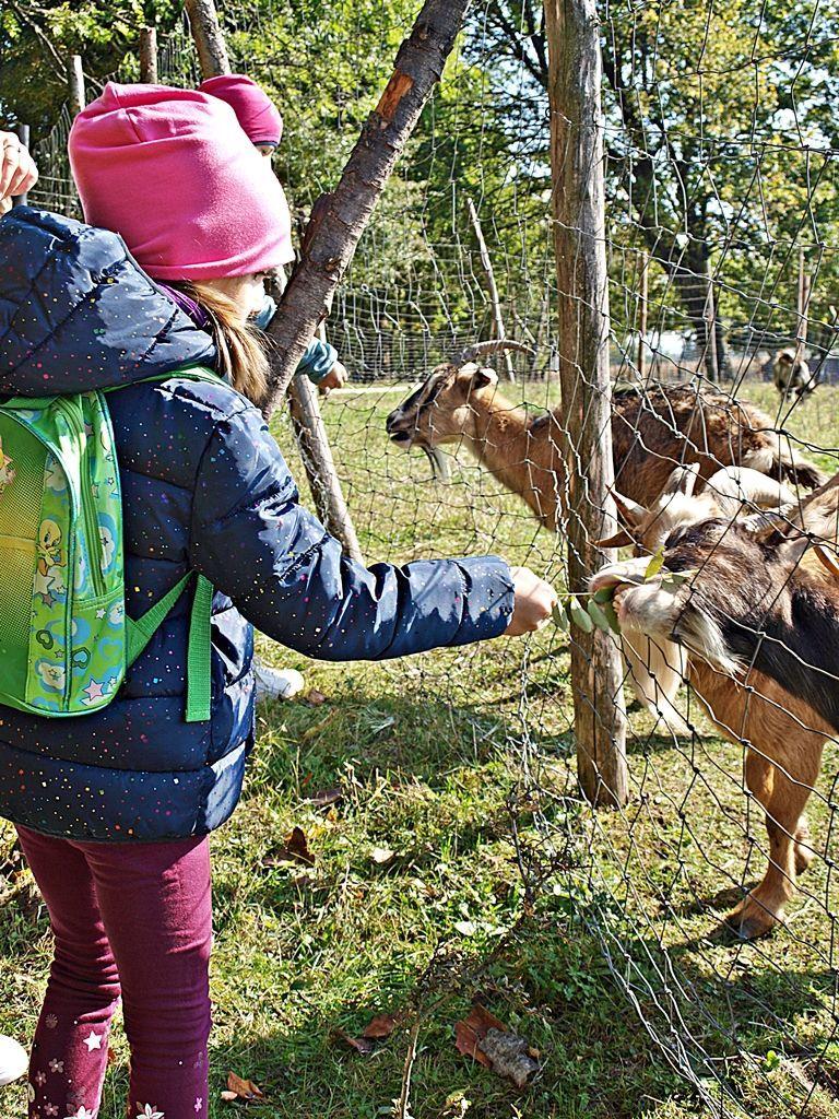Podczas imprezy o bardzo znamiennej nazwie atrakcji było w bród. Dla starszych i młodszych. Chętni mogli poobcować w towarzystwie sympatycznych kóz.<br/>fot.Mariusz Godos