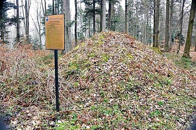 Dzięki specjalnej ścieżce przygotowanej przez Podkarpacki Wojewódzki Urząd Ochrony Zabytków w Przemyślu cztery kurhany w Średniej można pooglądać i wiele się o nich dowiedzieć.<br/>fot.Piotr Chaszczyn