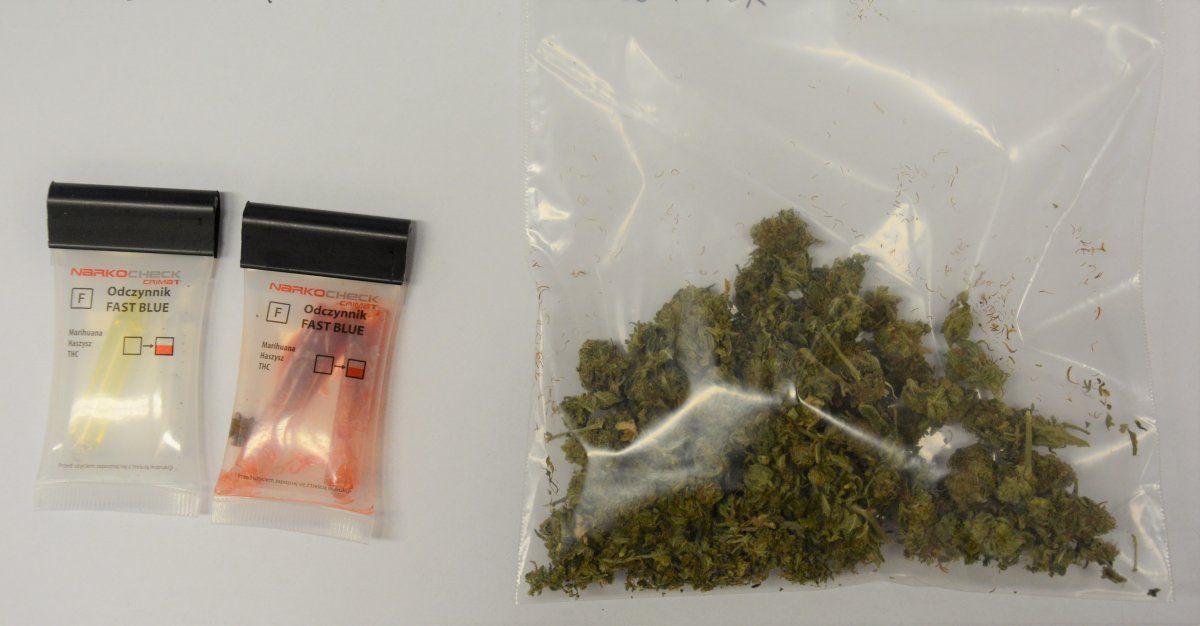 Tester narkotykowy wykazał, że zabezpieczona substancja, to marihuana.<br/>fot.arch. KPP Przeworsk