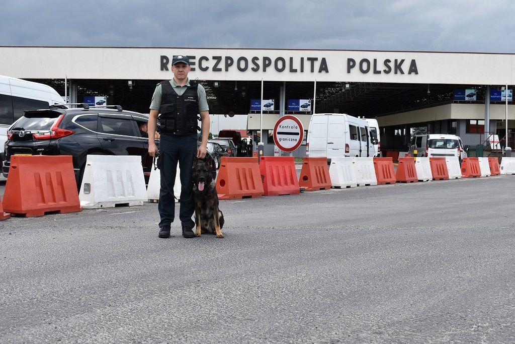 2-letni owczarek niemiecki o imieniu Kenzo szkolony był do wykrywania gatunków CITES, czyli zagrożonych wyginięciem gatunków zwierząt i roślin lub wykonanych z nich przedmiotów.<br/>fot.IAS w Rzeszowie