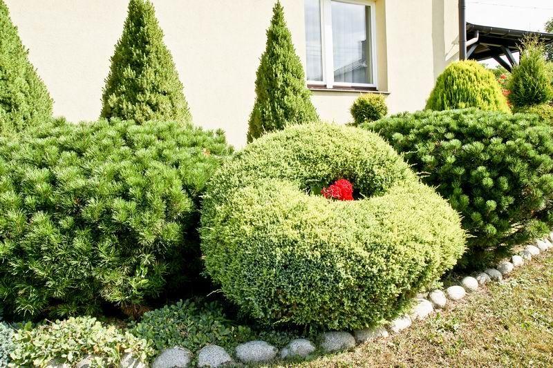 W Przeworsku pięknych zieleńców nie brakuje, ale miastu zależy, by było ich więcej. Do udziału w konkursie na najpiękniejszy ogród można zgłaszać nie tylko własny zielony azyl, ale również ten należący do sąsiada czy znajomych mieszkających na terenie miasta. <br/>fot.UM Przeworsk