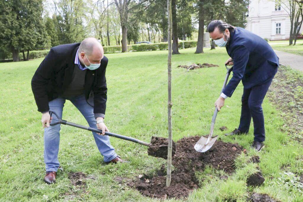 Na terenie parku Lubomirskich powstaje Aleja Pamięci, mająca uhonorować zasłużonych pracowników przemyskiej Alma Mater. 6 maja pierwsze sadzonki młodych dębów posadzili rektor przemyskiej uczelni dr Paweł Trefler wraz z kanclerzem Tomaszem J. Filozofem.
 
<br/>fot.K.Krukiewicz