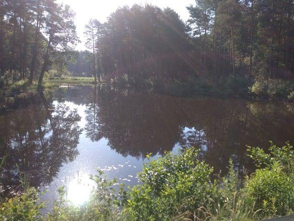 To właśnie ten sielski krajobraz gminy Wielkie Oczy posłużył T. Skoczyńskiemu za inspirację do projektu.<br/>fot.Tomasz Skoczyński