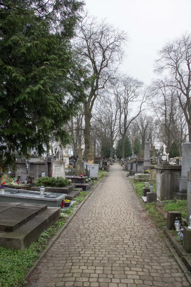 Na starym cmentarzu do połowy maja wyciętych zostanie 5 jesionów.<br/>fot.Bartłomiej Pacek