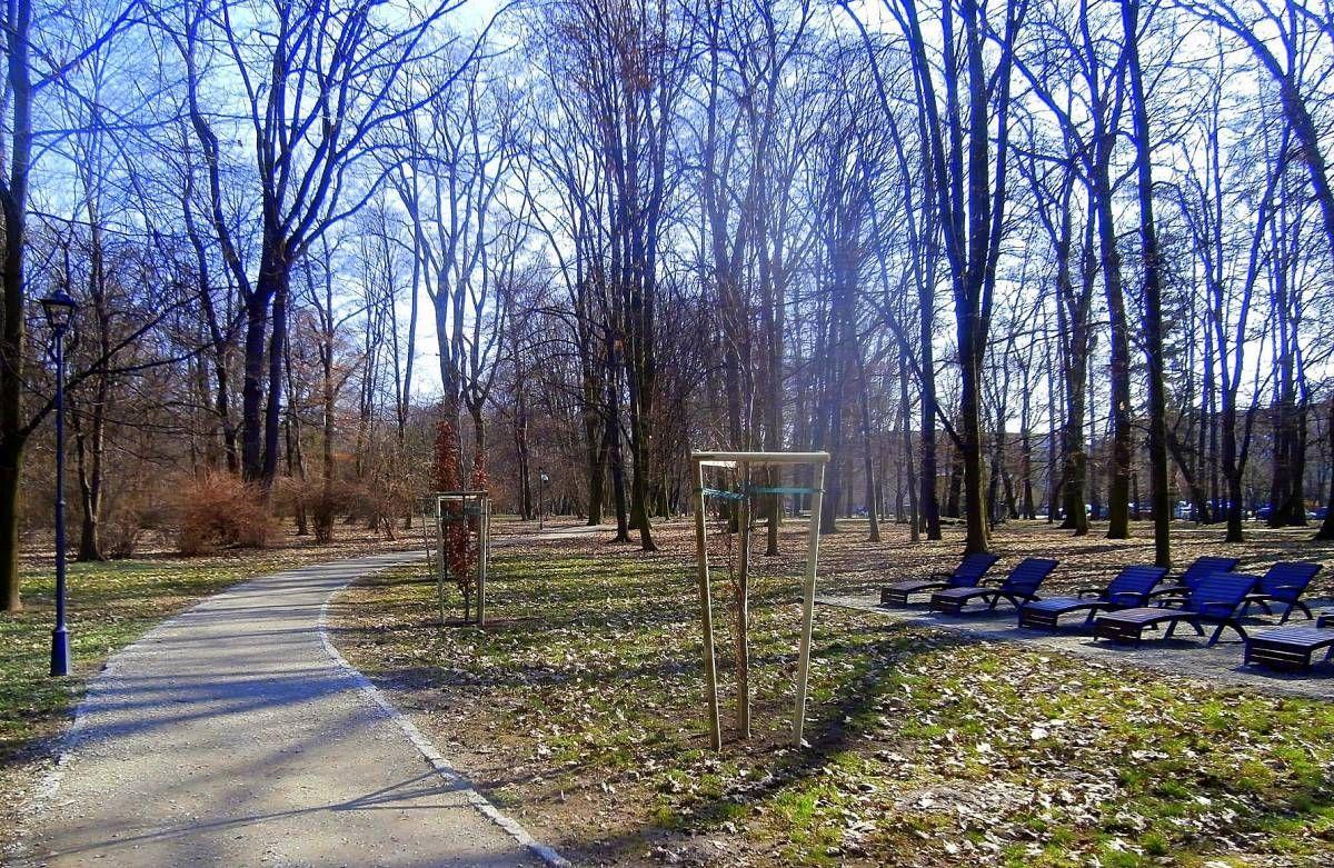 W Parku Miejskim nowe nasadzenia to: buki, kasztany i lipy.<br/>fot.UM Jarosław