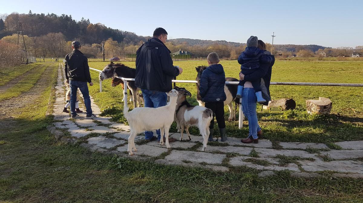 Minizoo jest otwarte nie tylko na rodziny, z czasem chętnie ugości wycieczki szkolne czy firmowe. W Rokszycach można też zażyć przejażdżki konnej lub bryczką od zaprzyjaźnionego sąsiada. Są animacje dla dzieci i palenisko. <br/>fot.fb/minizoo.rokszyce