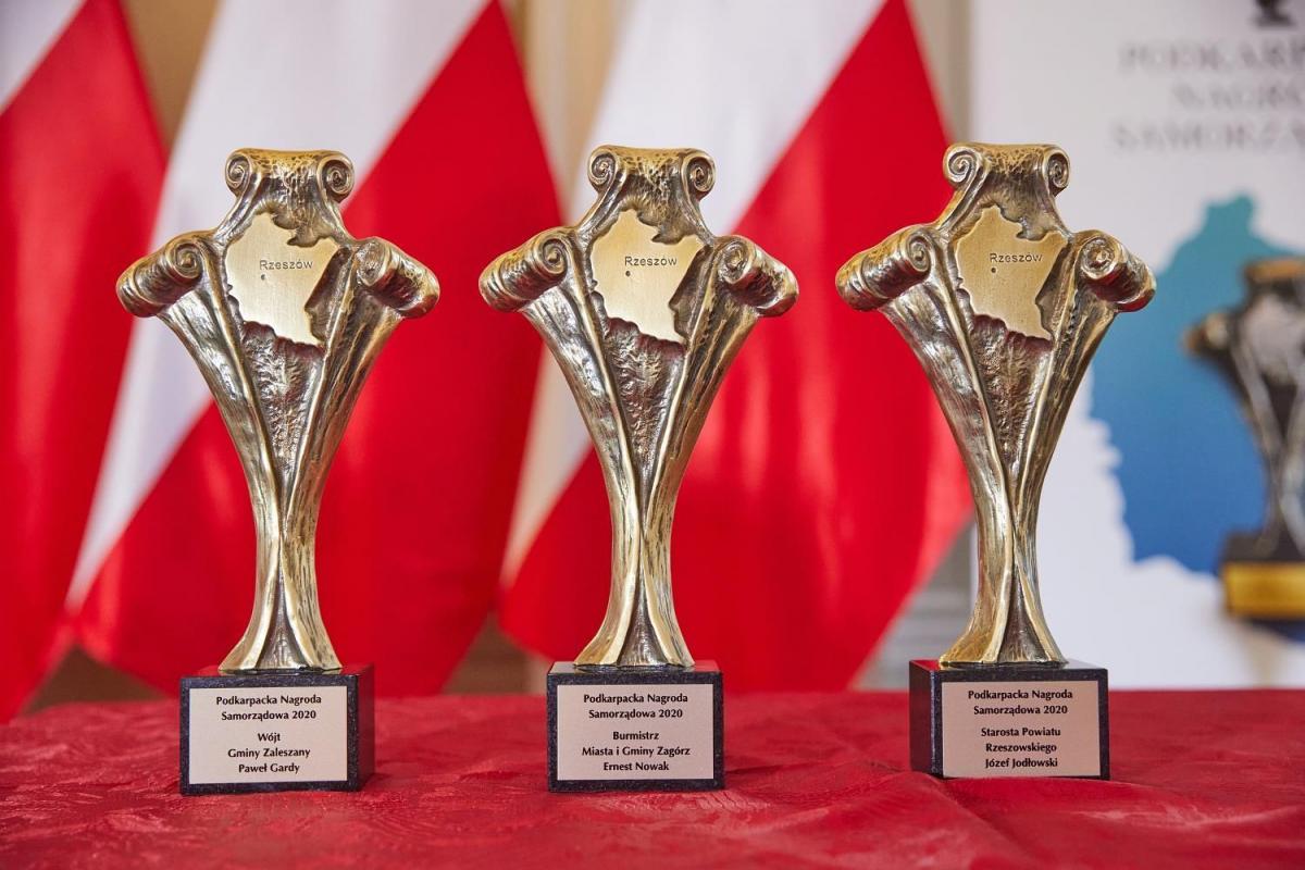W jednej z trzech głównych kategorii statuetka przypadła powiatowi jarosławskiemu, wśród wyróżnionych najwięcej było samorządów naszego regionu.

<br/>fot.materiały organizatora