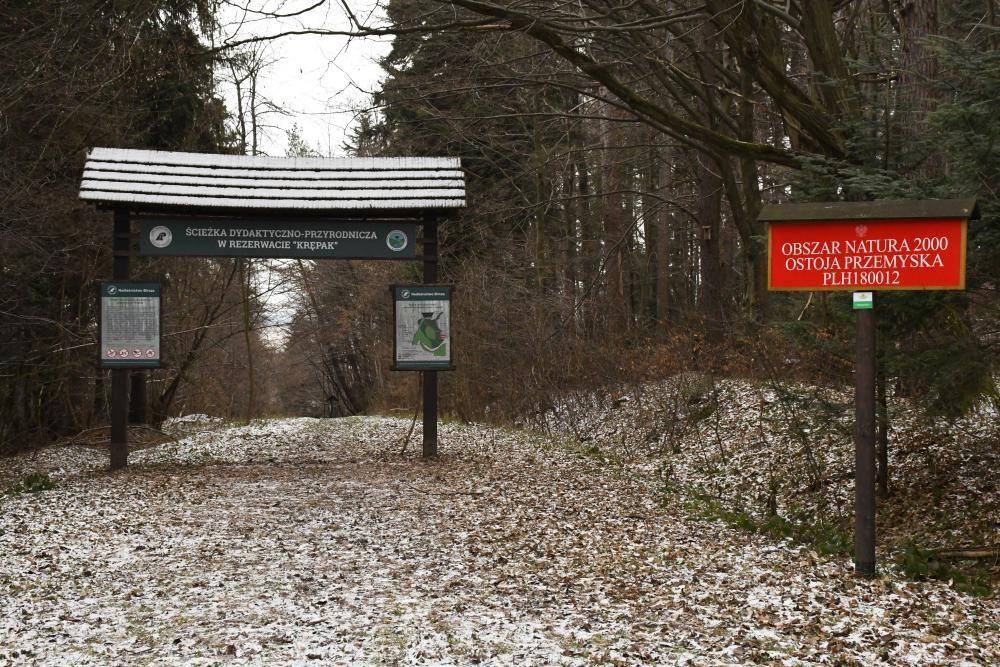 Na początku ścieżki znajduje się tablica informacyjna z mapą sytuacyjno-poglądową, a na jej trasie dodatkowo jeszcze 11 tablic przystankowych.
<br/>fot.Nadleśnictwo Bircza