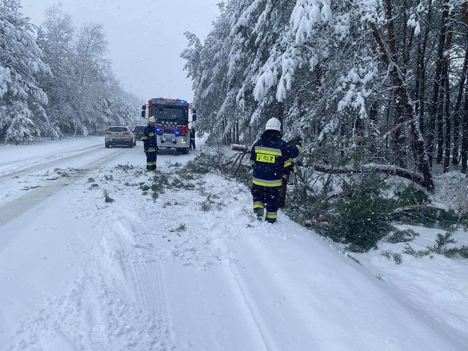 Strażacy także nie próżnowali.<br/>fot. OSP KSRG Wólka Pełkińska.