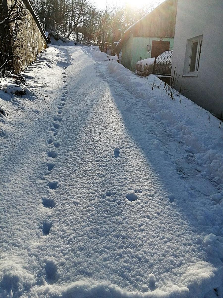 – Takie ulice jak nasza, czyli Gołębia nie są po prostu odśnieżane. Duży pług się nie zmieści, ciągnik sypie za sobą, wiec się ześlizguje po oblodzonej ulicy i nie daje rady wjechać. To jest jakiś komediodramat. Nie mamy chodnika, więc niektórzy, chcąc do miasta, mogą zjechać sankami albo siedzieć w