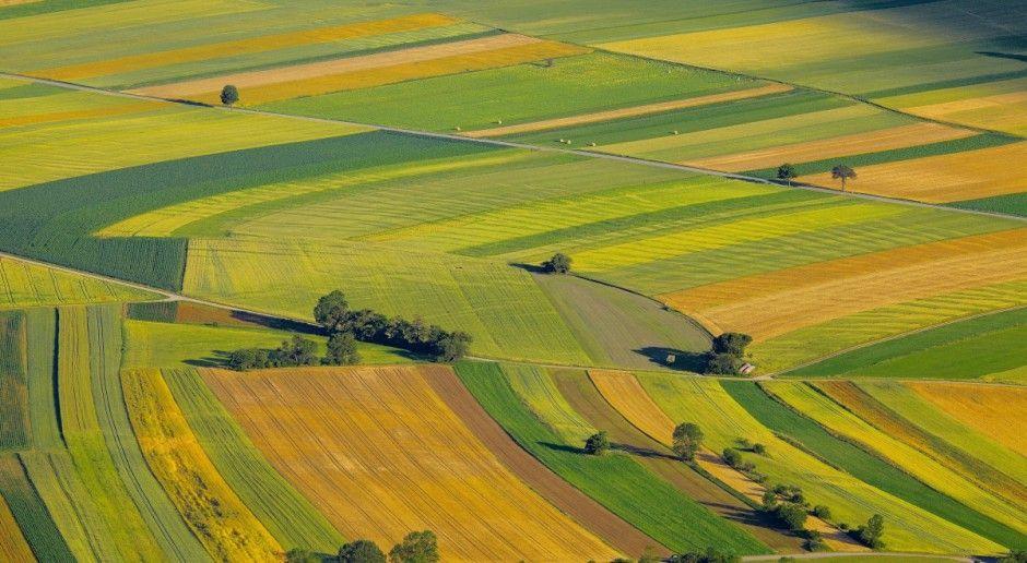 W Polsce wiele gospodarstw użytkuje liczne, rozproszone działki rolne. Scalenie gruntów polega na wydzieleniu nowych działek ewidencyjnych, o innym ukształtowaniu w stosunku do pierwotnych. <br/>fot.www.shutterstock.com