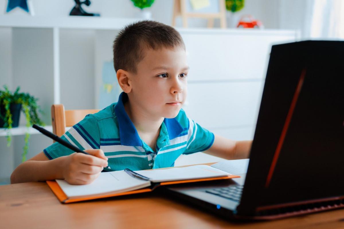 Dofinansowanie do zakupu komputera z oprogramowaniem obejmuje wyłącznie dzieci z rodzin rolniczych, przy spełnieniu ściśle określonych warunków.<br/>fot.ze zbiorów własnych