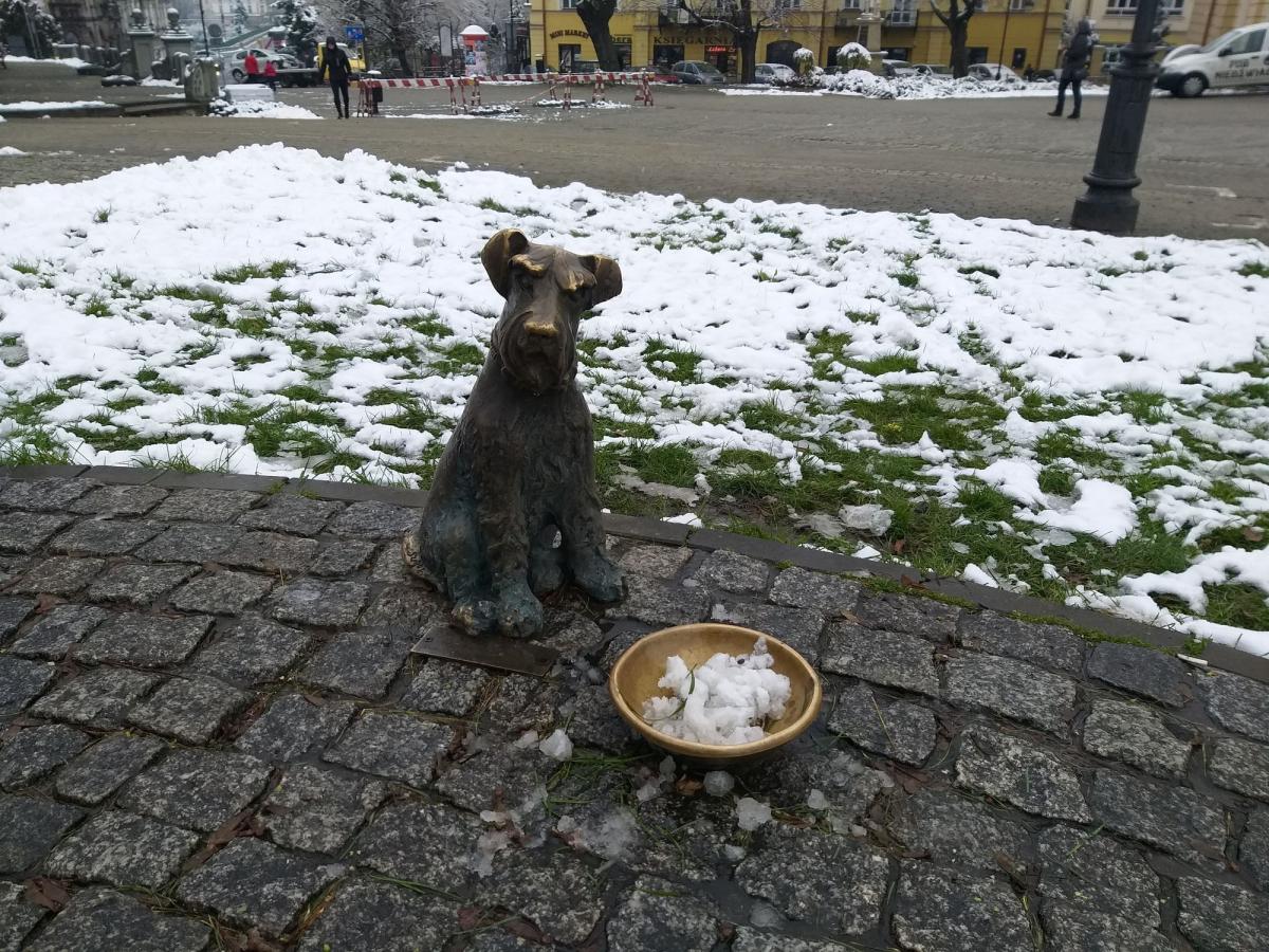Prace trwają m.in. na płycie Rynku przed pomnikiem Mickiewicza – przez weekend ustawiono ostrzegawcze rusztowanie ⬆⬇<br/>fot.Aleksandra Nowotyńska