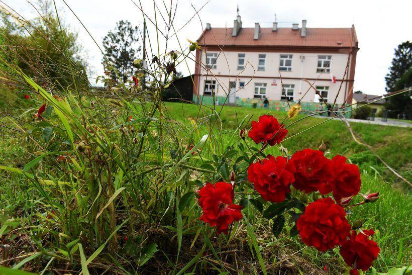 Szkoła w Cieplicach przekształci się w filię szkoły w Adamówce. Starsze dzieci będą dojeżdżać do Adamówki, w budynku pozostaną tylko uczniowie klasy I – III i przedszkolaki.<br/>fot.SP w Cieplicach