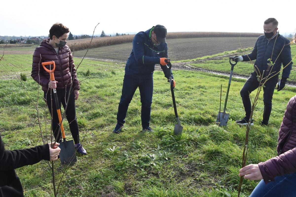 Na działce w Gwizdaju władze gminy i pracownicy urzędu posadzili 50 sadzonek drzew i krzewów.<br/>fot.UG Przeworsk