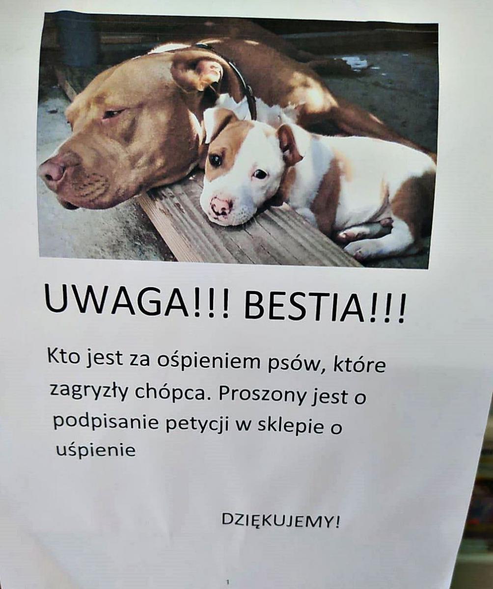 W Orzechowcach pojawiły się tajemnicze plakaty, nawołujące do podpisywania petycji w sprawie uśpienia obu psów.fot.ze zbiorów własnych