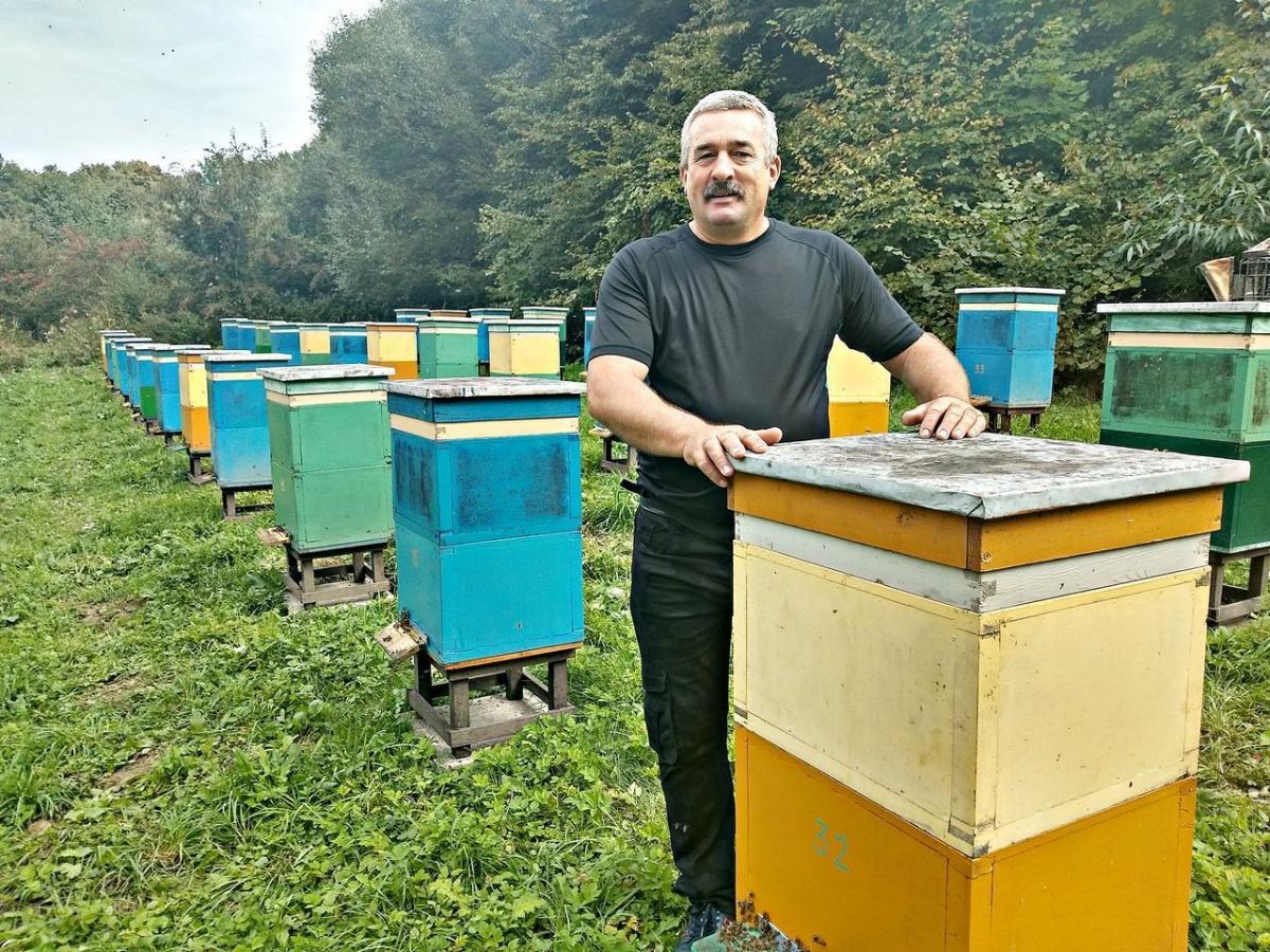 Pasieka liczy 60 uli. W każdym – zdaniem A. Sroki – pszczela rodzina w sezonie letnim to ok. 60 tys. osobników.<br/>fot.Mariusz Godos