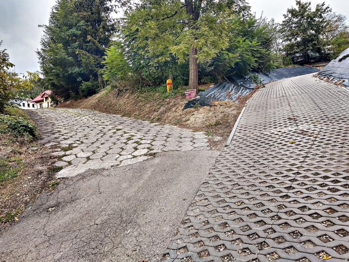 Po prawej stronie ul. 3 Maja w Żurawicy, jadąc w kierunku Orzechowiec, kilkanaście posesji znajduje się na sporym wzniesieniu. To tu są największe problemy z wodą. <br/>fot.Mariusz Godos