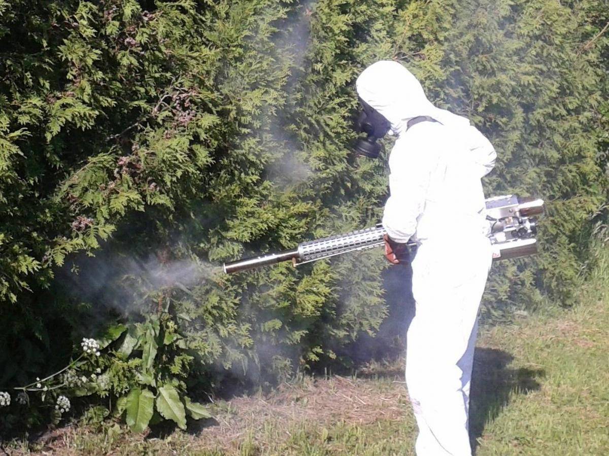 Jednym ze sposobów odkomarzania jest metoda zamgławiania.<br/>fot.www.bestkiller.pl