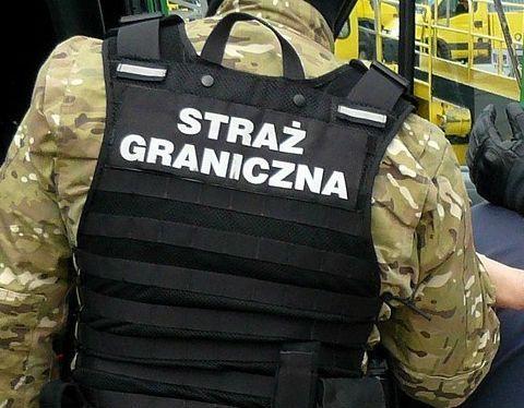 <br/>fot.serwis BiOSG