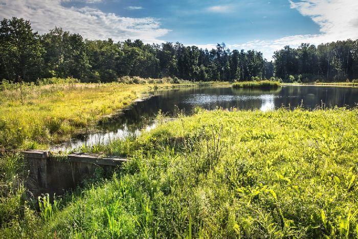 Zbiorniki małej retencji są bardzo ważne dla utrzymania hydrologicznej równowagi.<br/>fot.www.pfozw.pl