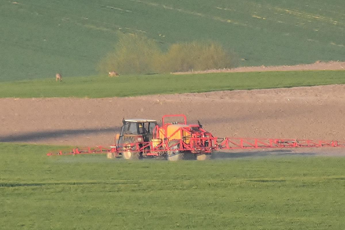 Zmieniono termin złożenia oświadczenia o braku zmian w stosunku do wniosku ubiegłorocznego, ale na razie nie zmienił się termin składania wniosków o dopłaty bezpośrednie.<br/>fot.Paweł Bugira