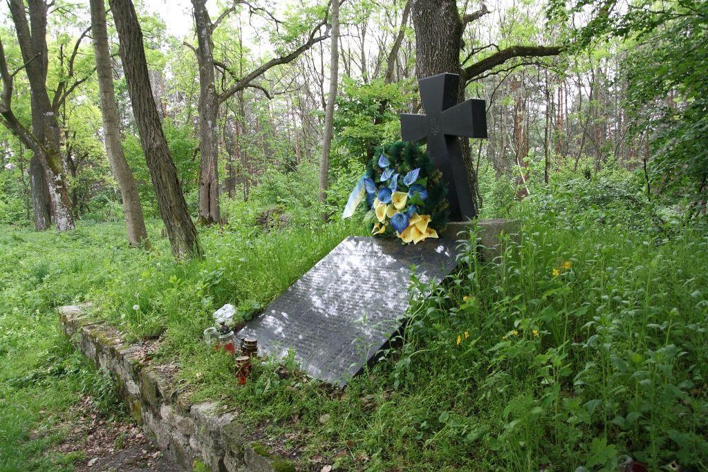 Czy mogiła na górze Monastyrz zostanie wpisana do rejestru grobów i cmentarzy wojennych? Zdecyduje o tym wojewoda podkarpacki Ewa Leniart.<br/>fot.www.roztocze.wordpress.pl