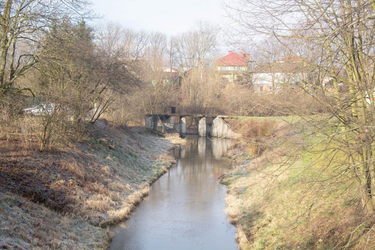 Pozostałości betonowej tamy to element koryta Rady, który w oczy kłuje najbardziej.<br/>fot.Bartłomiej Pacek