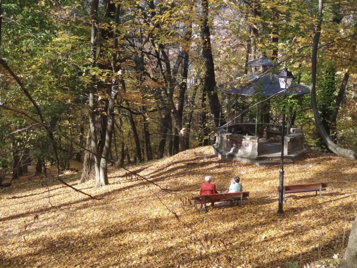 A tak niedawno prezentował się przemyski park cierpiący na zanik alejek. <br/>fot.Aleksandra Nowotyńska