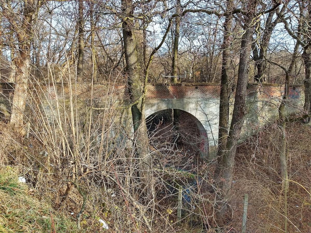 Zabytek marnieje w oczach. Teren wokół wygląda jak melina. Zarośnięty krzakami jest fatalną wizytówką.<br/>fot.Mariusz Godos